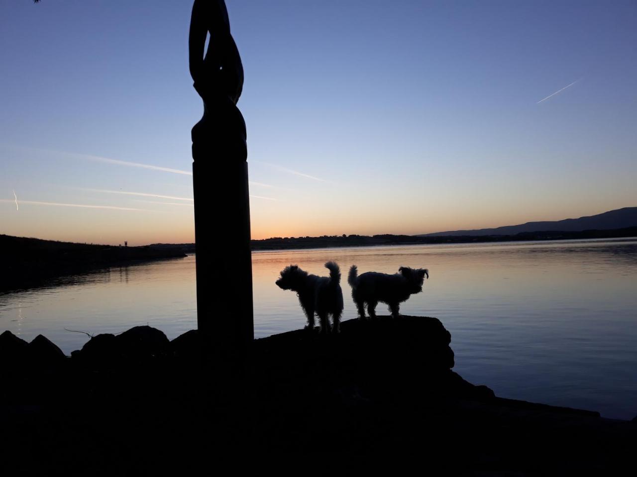 Barrow House Hotel Tralee Buitenkant foto